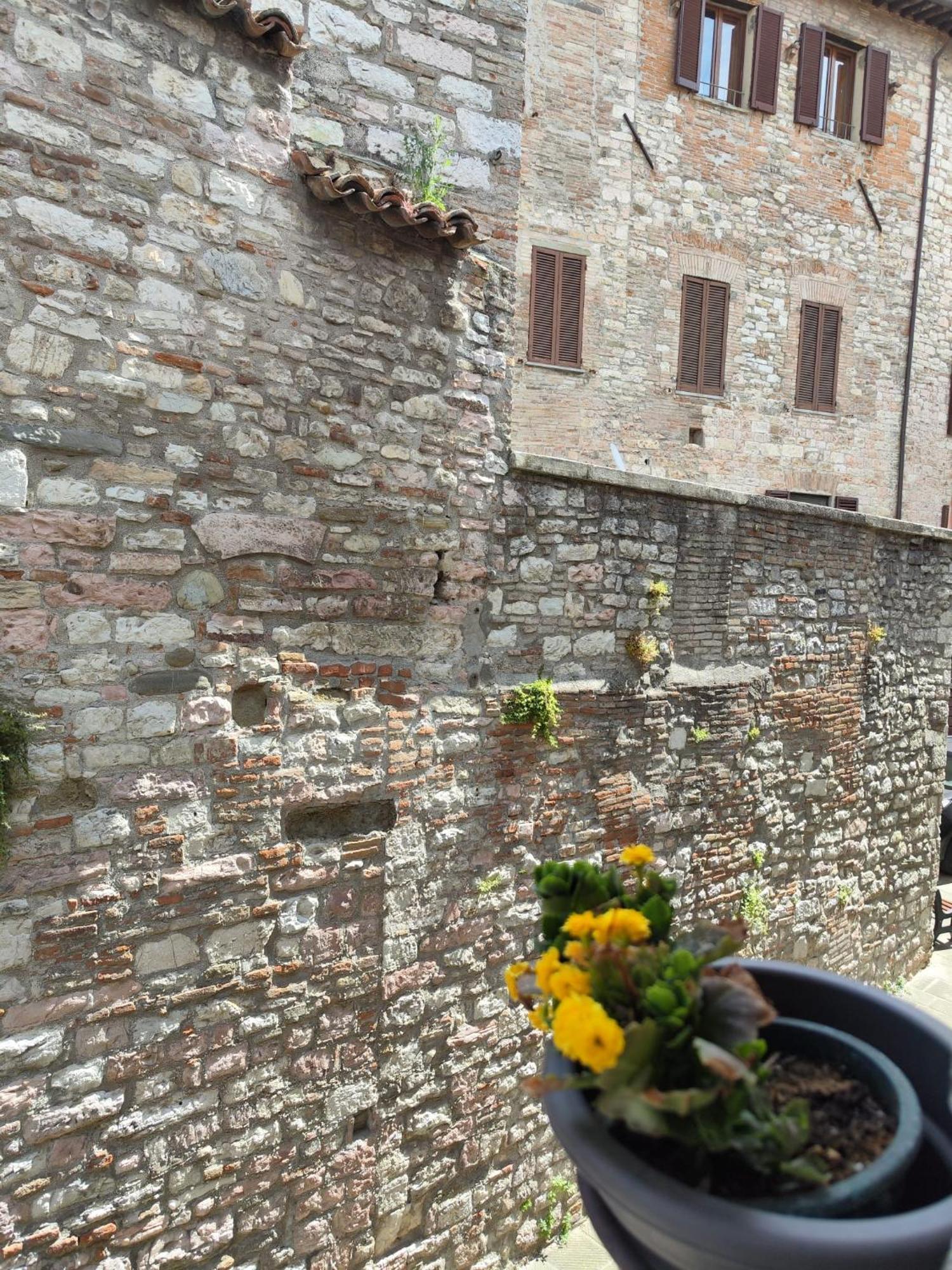 La Belle Epoque Gubbio Exterior foto